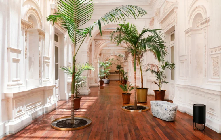 Arquitectura, Interiorismo y Reformas